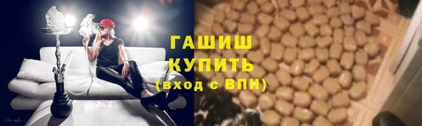 прущие грибы Россошь