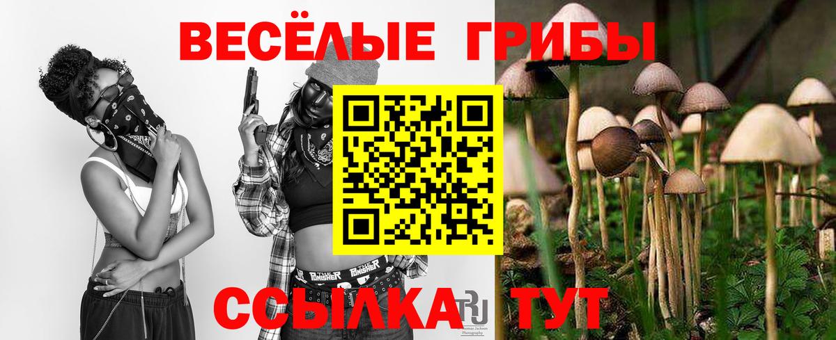 Галлюциногенные грибы прущие грибы Менделеевск
