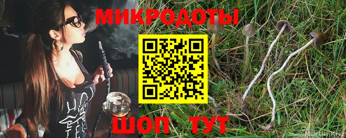 Менделеевск  Псилоцибиновые грибы Cubensis  Вход с VPN  Галлюциногенные грибы MAGIC MUSHROOMS 